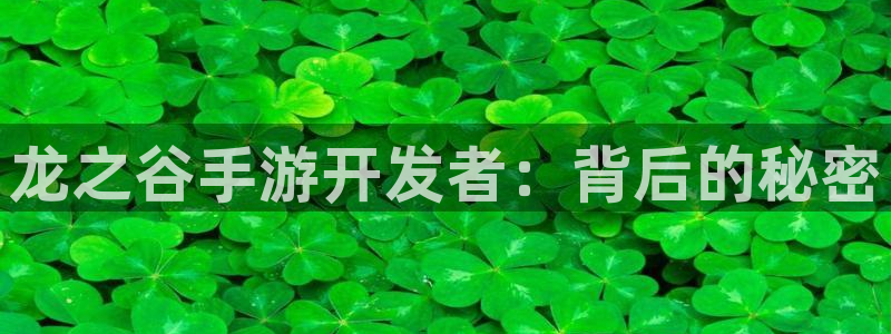 28大神专业版app下载页面：龙之谷手游开发者：背后的秘密