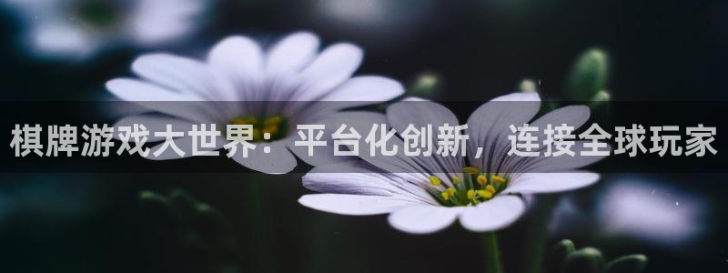 火狐电竞计划：棋牌游戏大世界：平台化创新，连接全球玩家