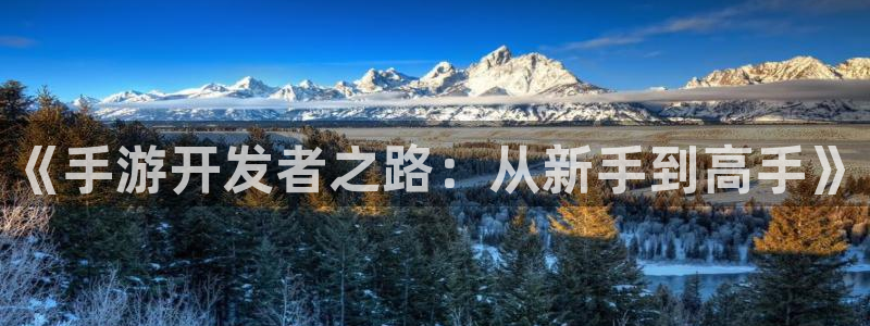 大神吧论坛28算法：《手游开发者之路：从新手到高手》