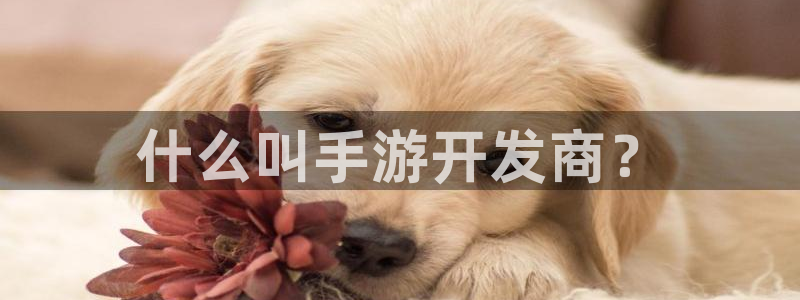 火狐电竞结果预测在线：什么叫手游开发商？