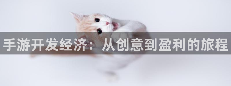 28大神2018版：手游开发经济：从创意到盈利的旅程